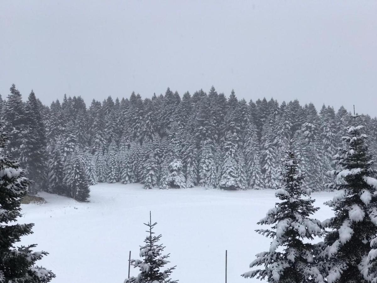 Elifim Resort Hotel Bolu Exteriér fotografie